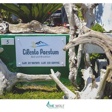 B&B Cilento Paestum Ngoại thất bức ảnh