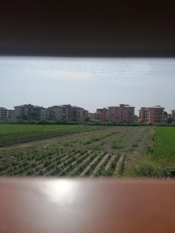 B&B Cilento Paestum Ngoại thất bức ảnh