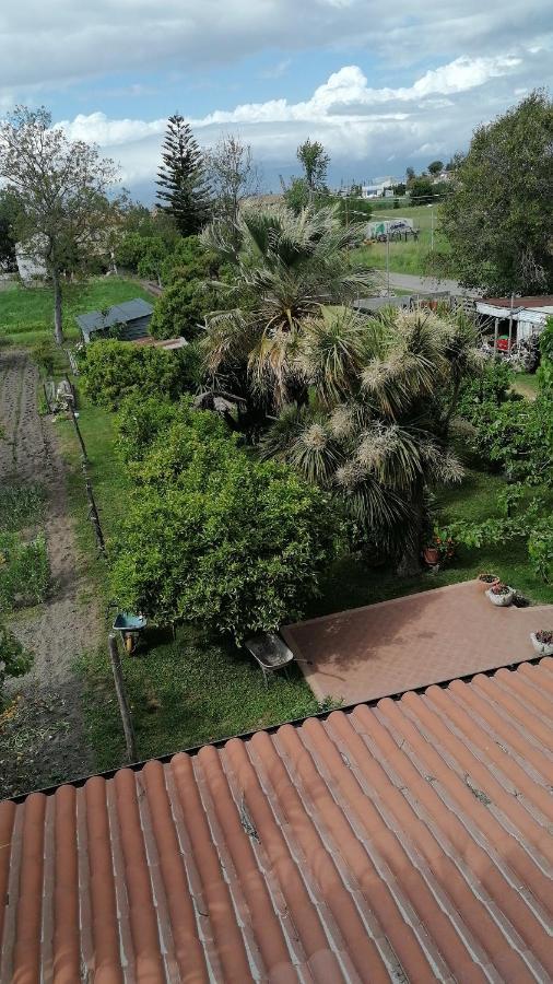B&B Cilento Paestum Ngoại thất bức ảnh