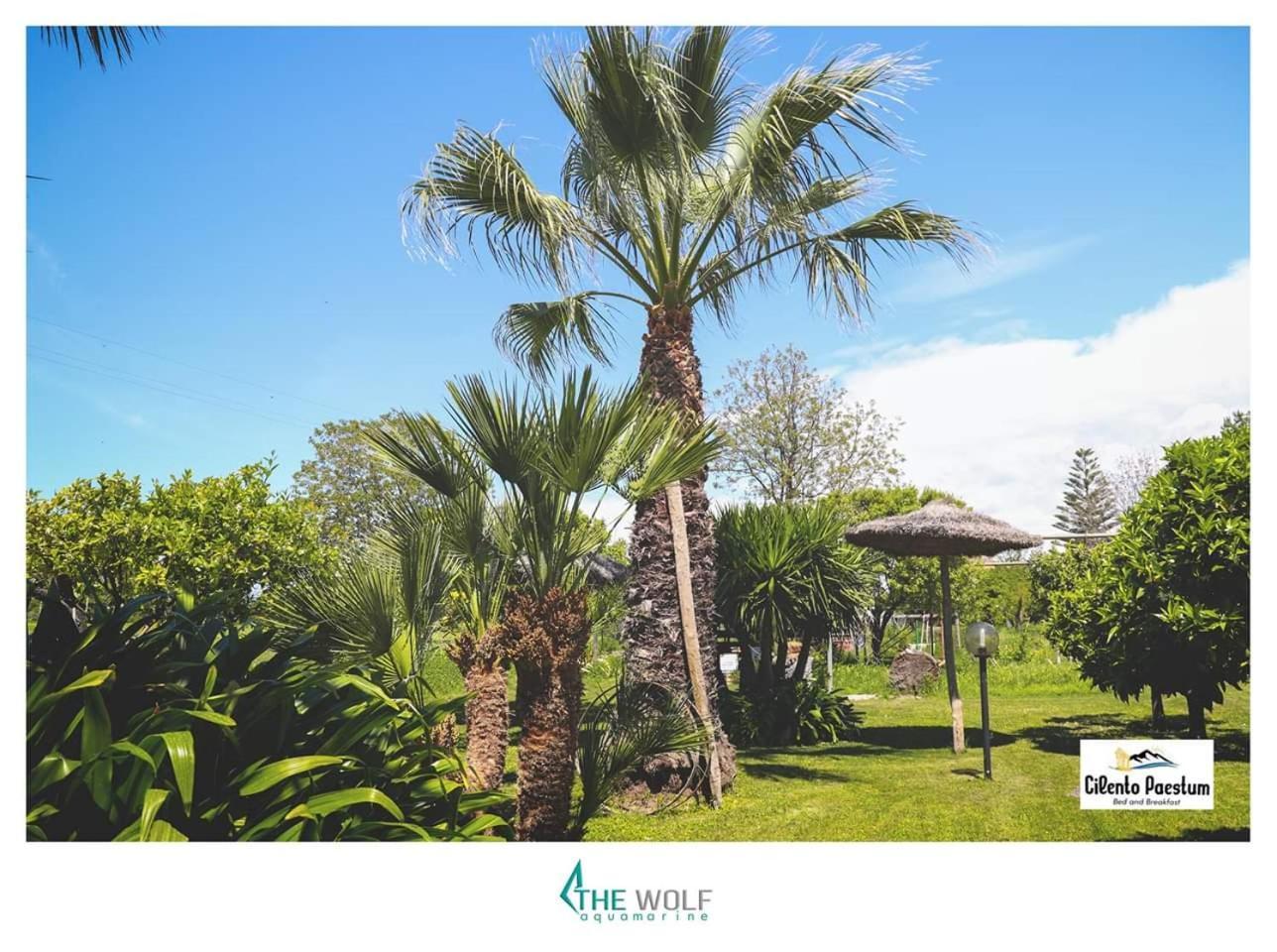 B&B Cilento Paestum Ngoại thất bức ảnh